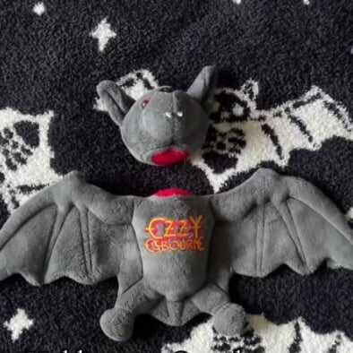 Cuddle the Night: Limited Edition All-Black Bat Plush