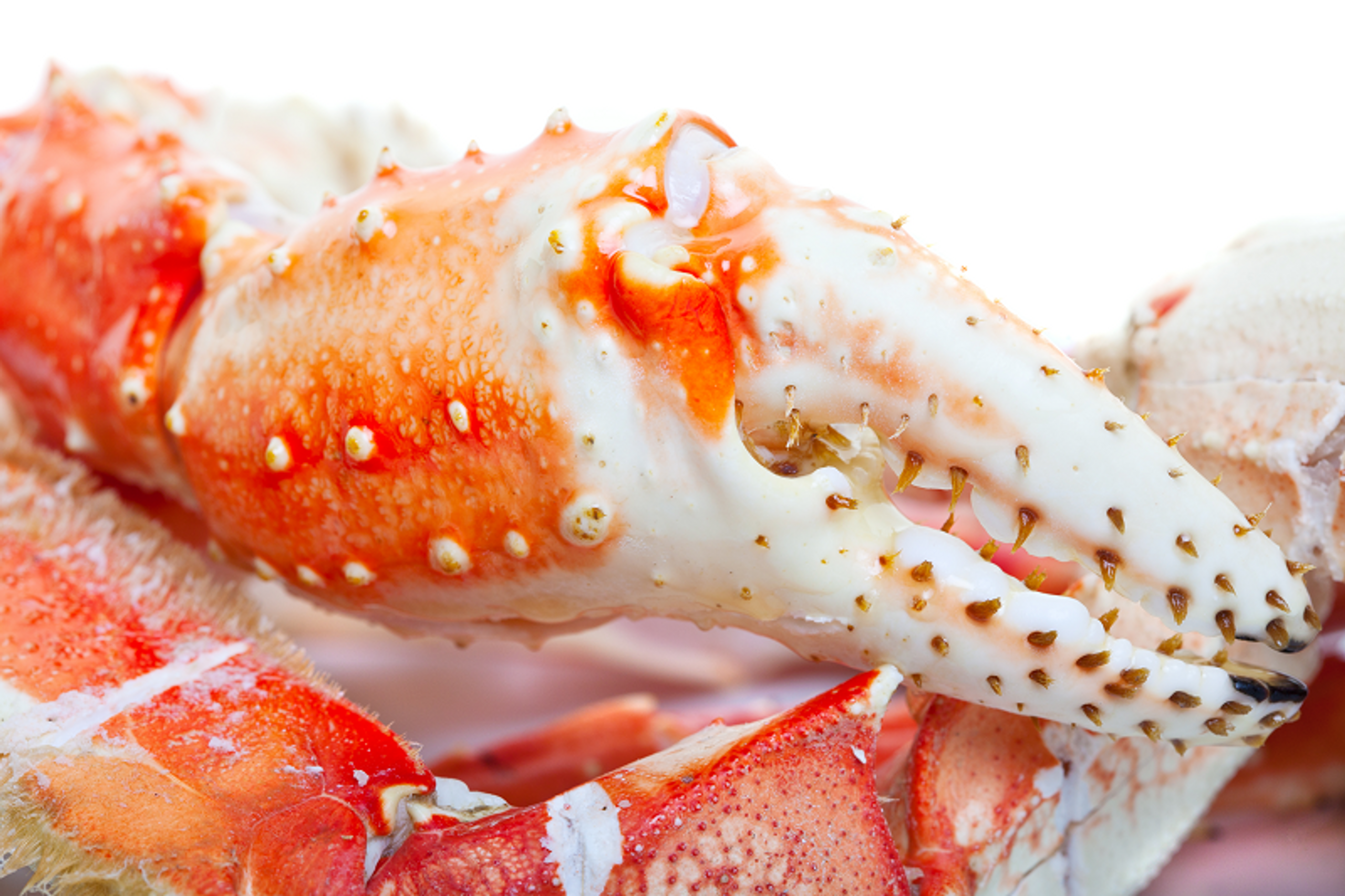 ✈️🦀Limited supply! Last day🔥 Giant Alaskan King Crab Bristol Bay 2 days straight to your table🍷A whole (over 6 pounds)