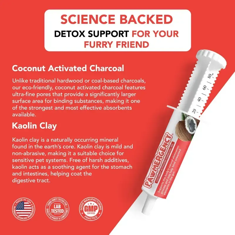 Activated Charcoal & Kaolin Gut Relief Kit 🐾💨 – Fast Digestive Rescue for Dogs & Cats 🐶🐱