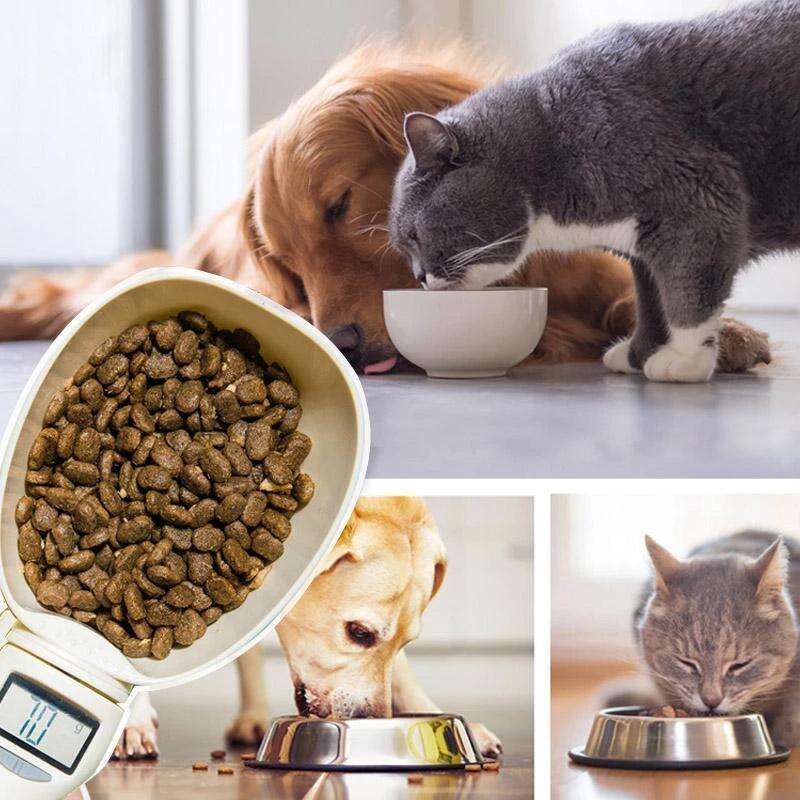 Digital Measuring Spoon, Digital Food Spoon Scale, Weighing Spoon Scale 800g / 0.1g High Accuracy with LCD Screen, Display Electronic Measuring Spoon for Kitchen Utensils and Daily Meals Pet Feeding