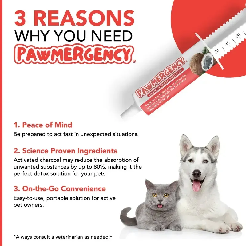 Activated Charcoal & Kaolin Gut Relief Kit 🐾💨 – Fast Digestive Rescue for Dogs & Cats 🐶🐱
