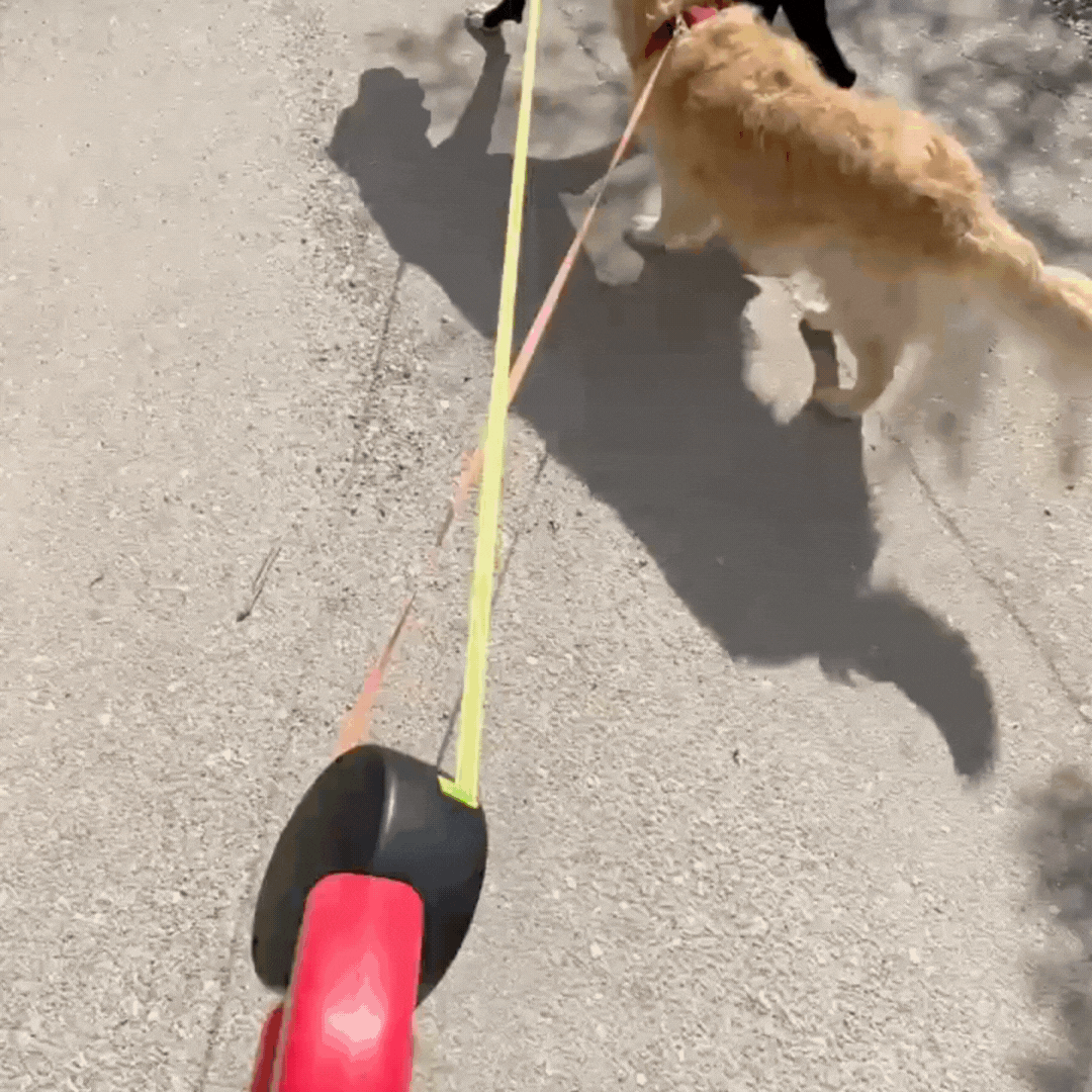 Duo Anti-Tangle Leash- Store Anniversary Hot Sale
