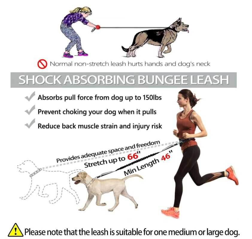 🔥Mother's Day Sale -Hands Free Dog Leash with Zipper Pouch