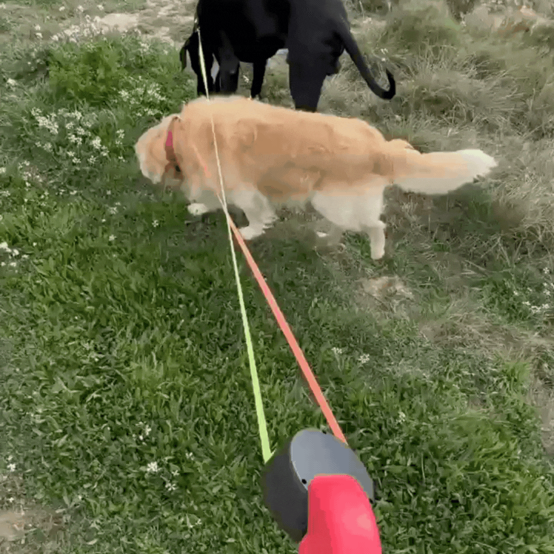Duo Anti-Tangle Leash- Store Anniversary Hot Sale