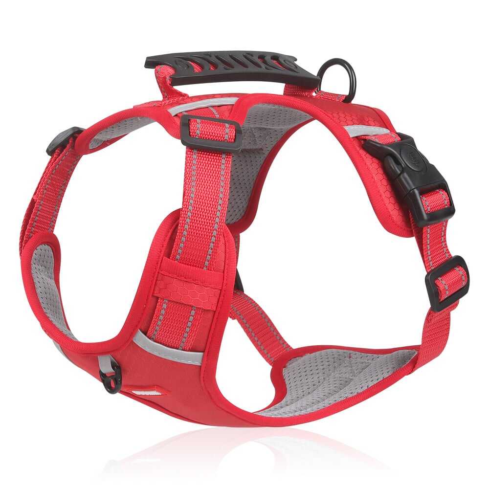 This harness leash combo is a game-changer-No Pull Dog Harness for Pets- Store Anniversary Hot Sale