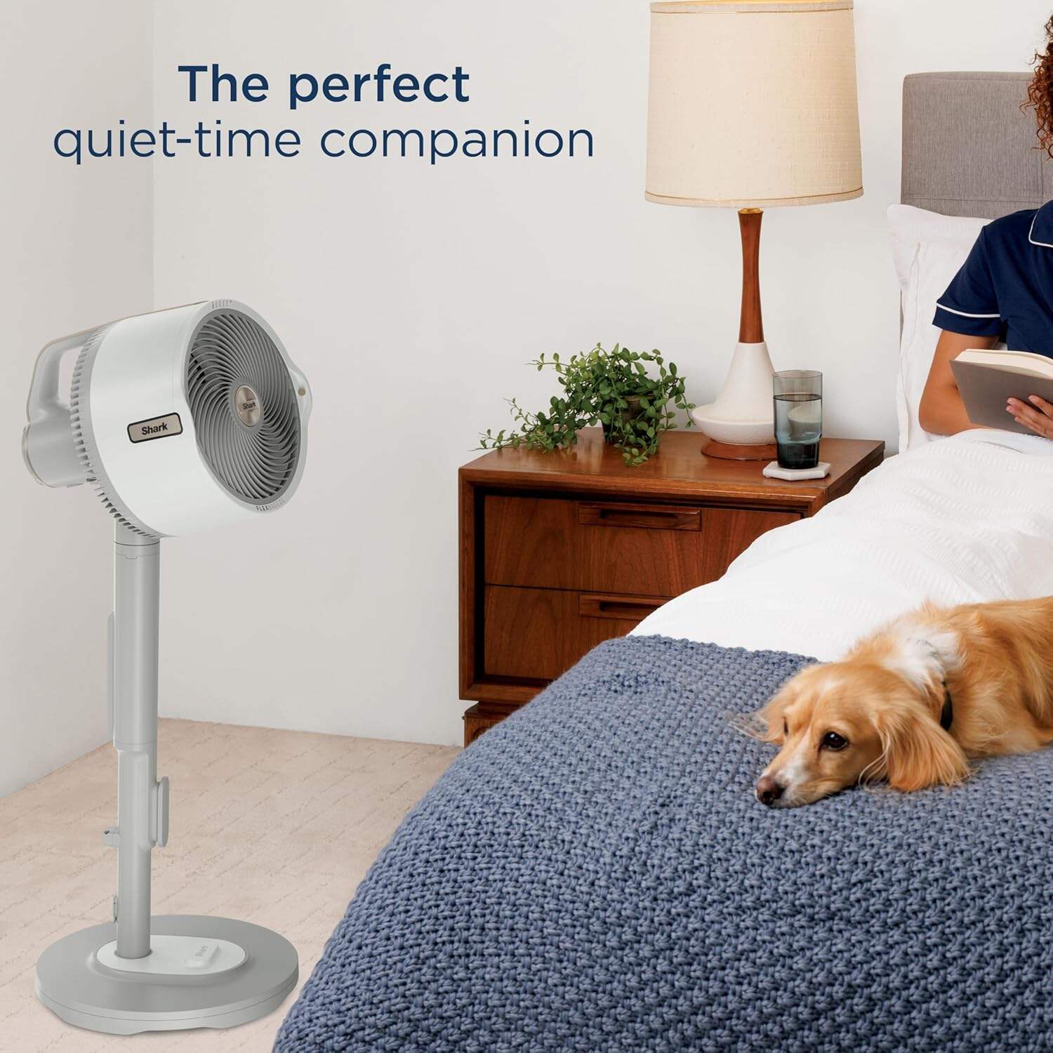 Shark FlexBreeze Pro Mist Fan — Indoor & Outdoor, Integrated Misting
