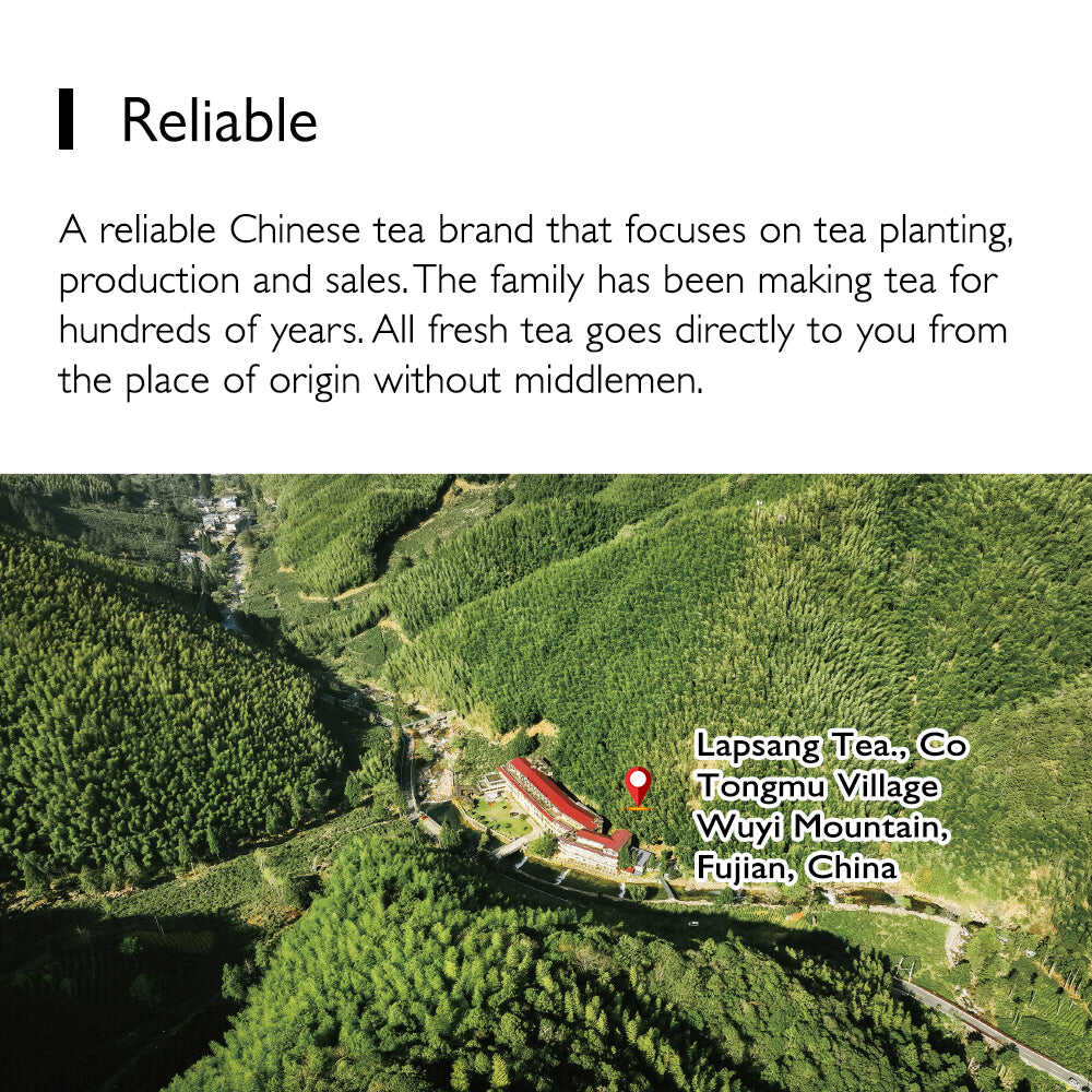 Louis Vuitton co-branded 2025 premium West Lake Longjing Qingming pre-tea