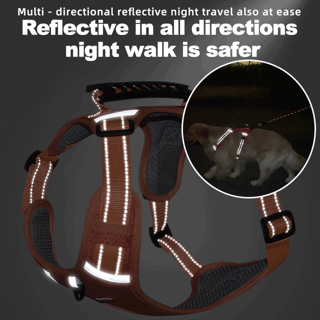 This harness leash combo is a game-changer-No Pull Dog Harness for Pets- Store Anniversary Hot Sale