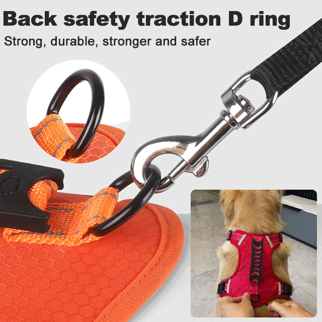 This harness leash combo is a game-changer-No Pull Dog Harness for Pets- Store Anniversary Hot Sale