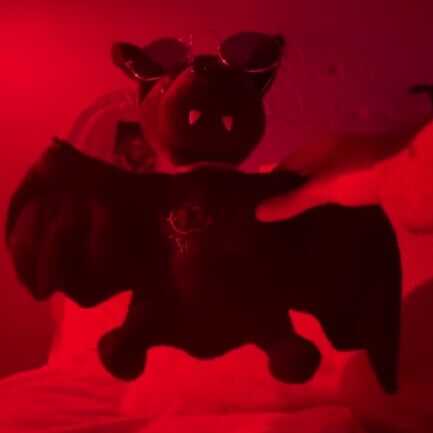 Cuddle the Night: Limited Edition All-Black Bat Plush