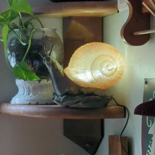 Snail Lamp Night Light Cottagecore Desk Decor