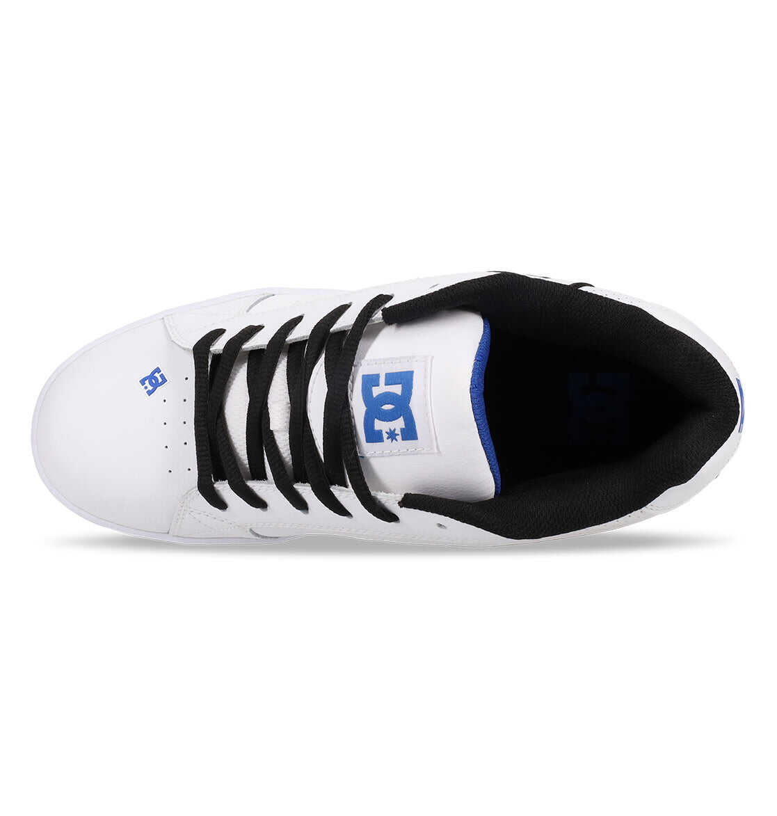 Men's Net Shoes