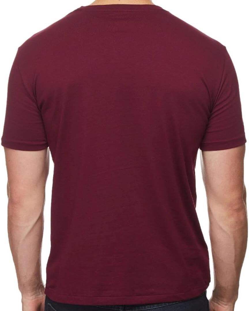 Polo Ralph Lauren Men's V Neck Classic Fit T-Shirt
