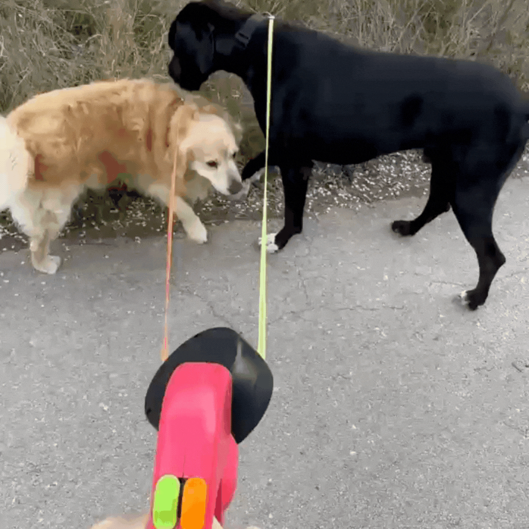 Duo Anti-Tangle Leash- Store Anniversary Hot Sale