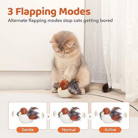 Flappy Cat Toy
