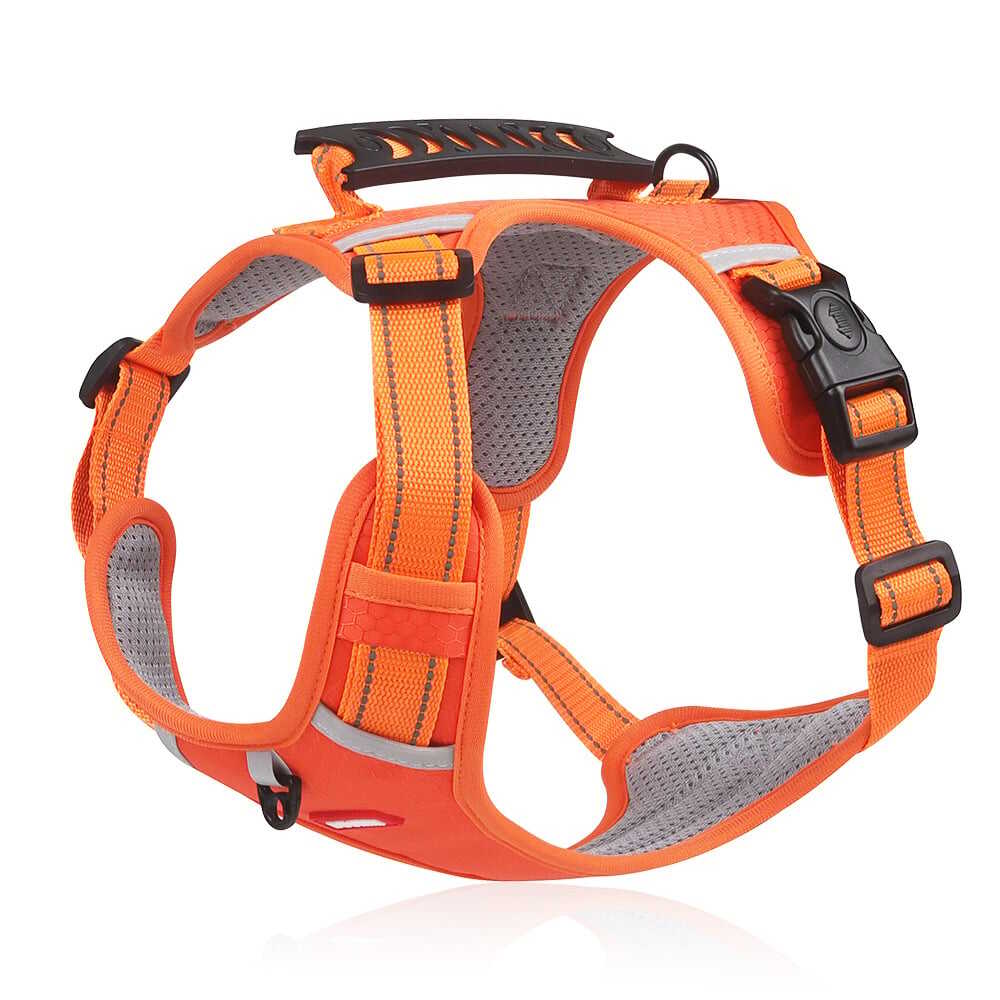 This harness leash combo is a game-changer-No Pull Dog Harness for Pets- Store Anniversary Hot Sale