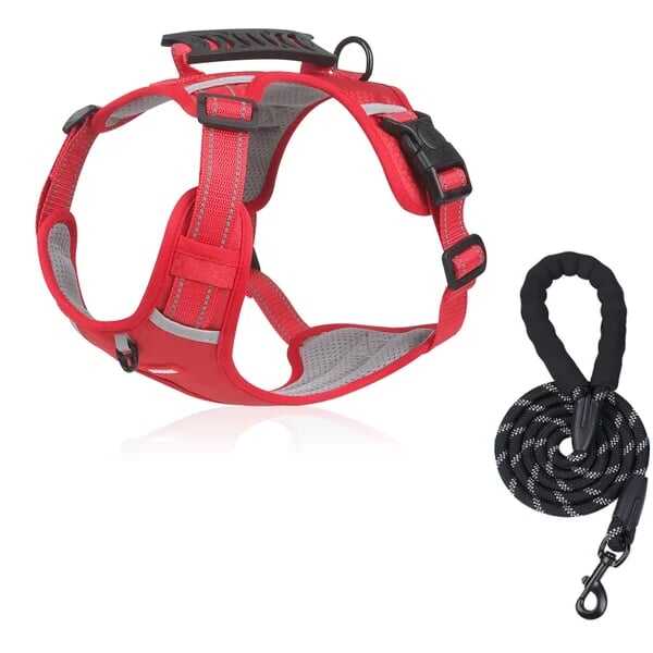 This harness leash combo is a game-changer-No Pull Dog Harness for Pets- Store Anniversary Hot Sale