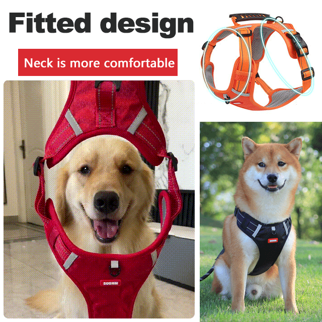 This harness leash combo is a game-changer-No Pull Dog Harness for Pets- Store Anniversary Hot Sale