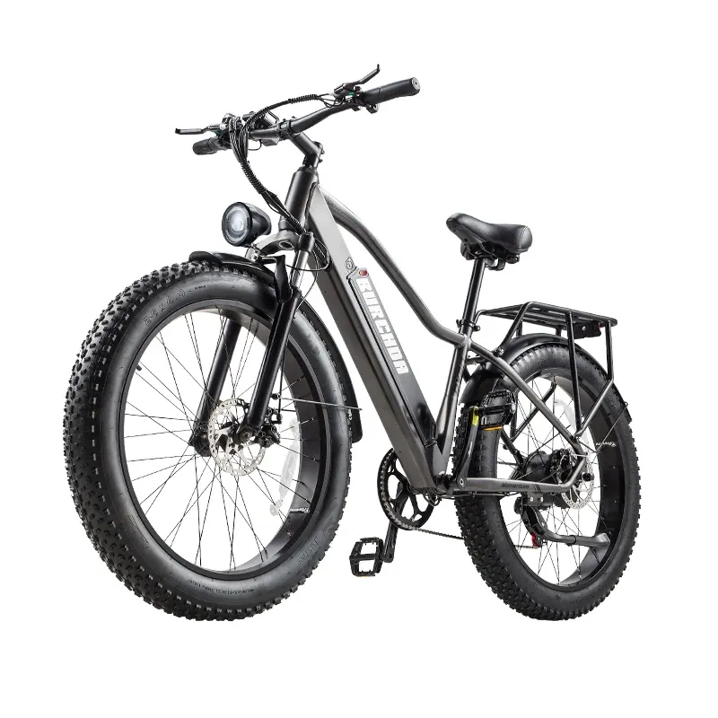 BURCHDA Electric Bicycle 1500W City Road Bicycles 48V20AH Adult Mountain MTB E-Bike 26Inch Fat Tire Cycling Bike RX20